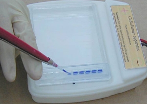 Protein GeBA Gel